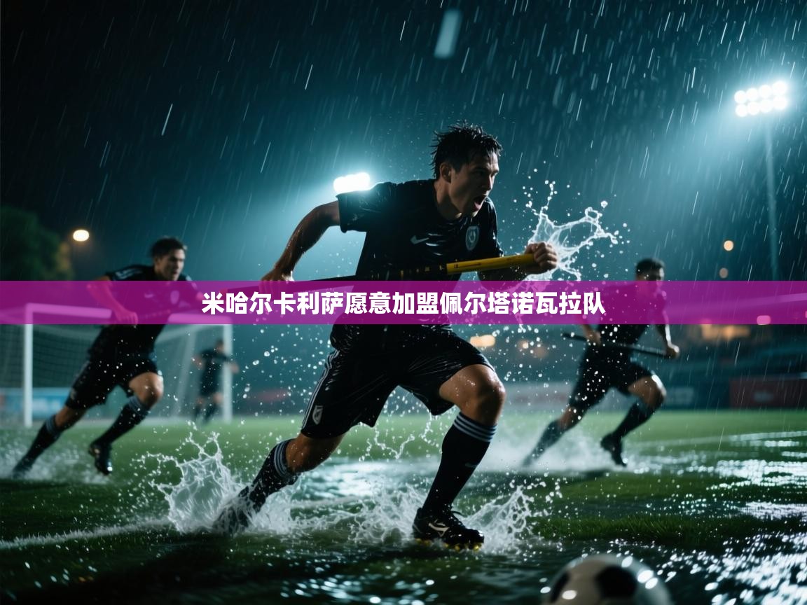 米哈尔卡利萨愿意加盟佩尔塔诺瓦拉队  第2张