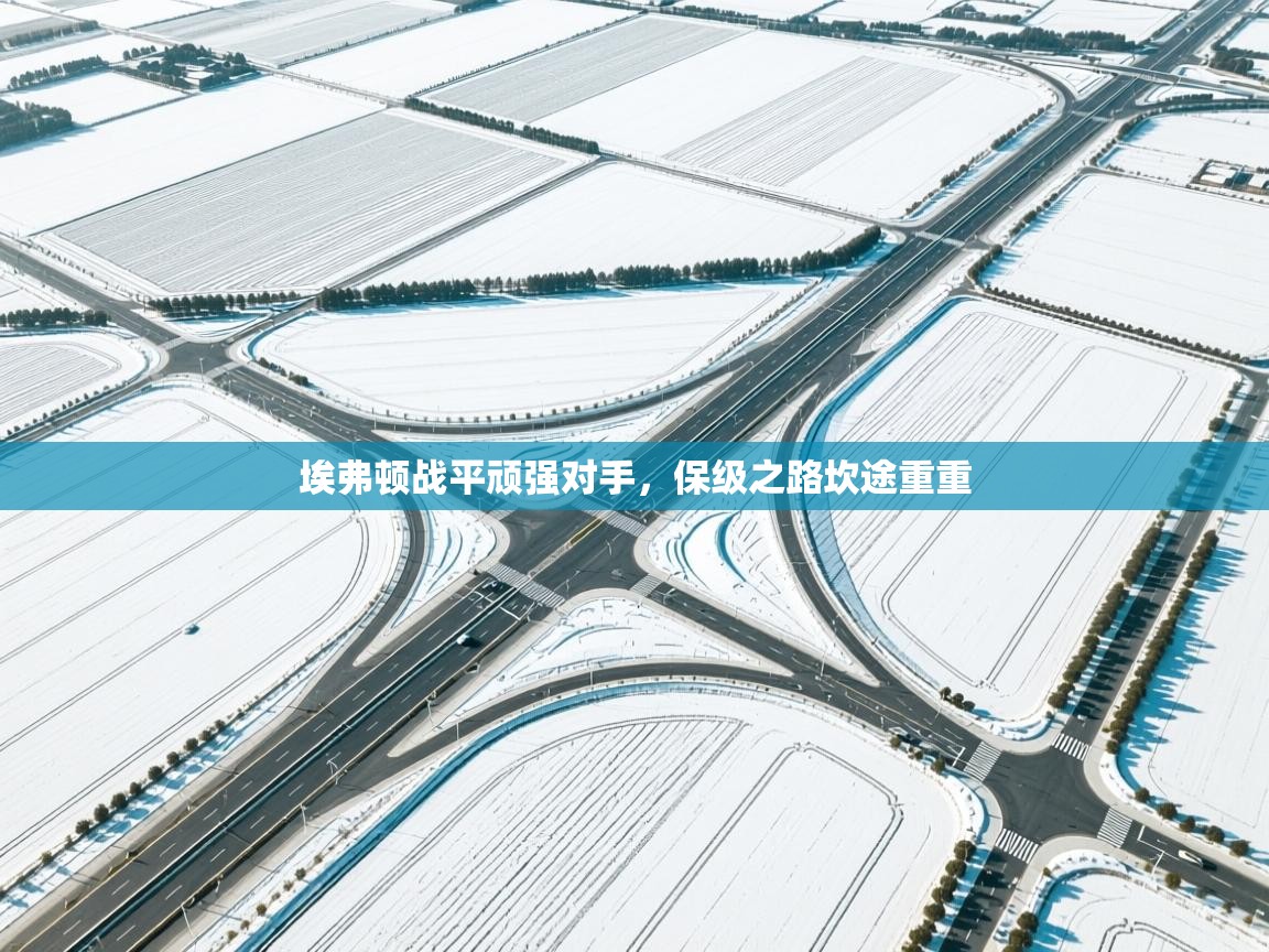 埃弗顿战平顽强对手,保级之路坎途重重 第1张