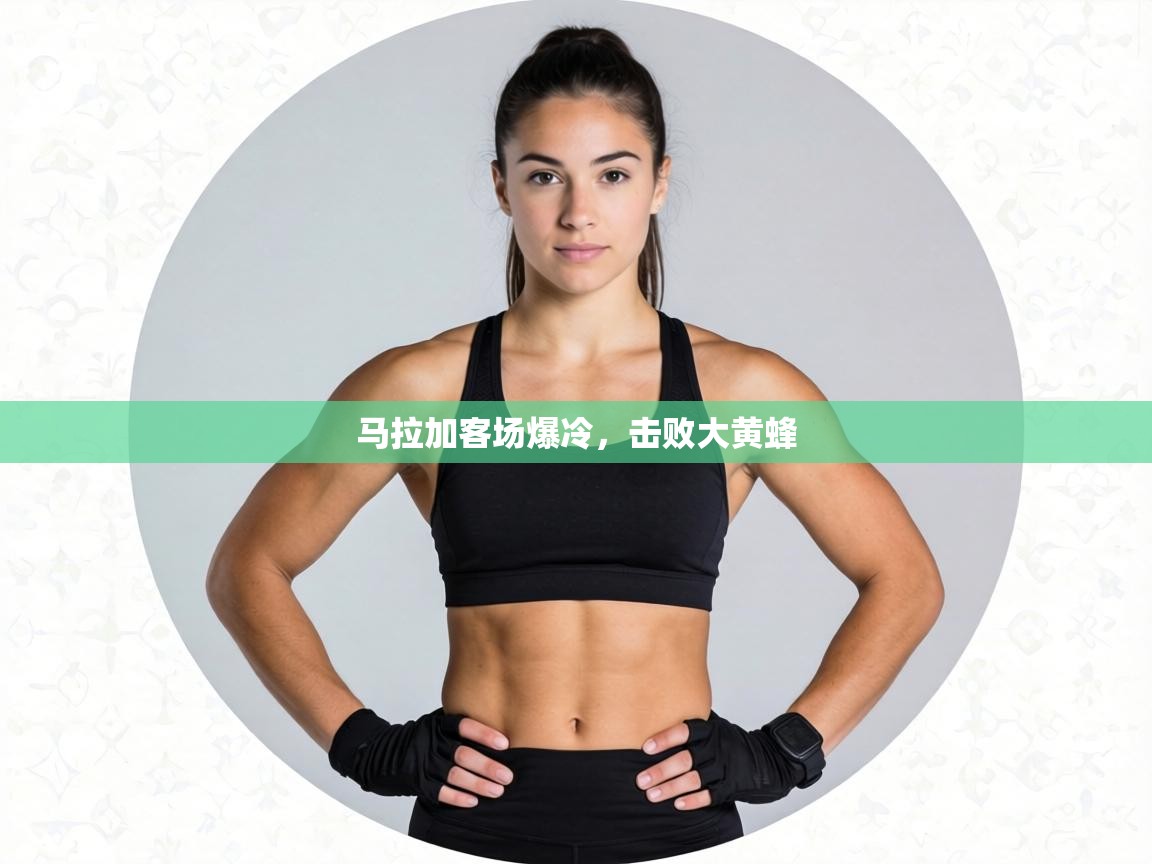 马拉加客场爆冷,击败大黄蜂 第2张