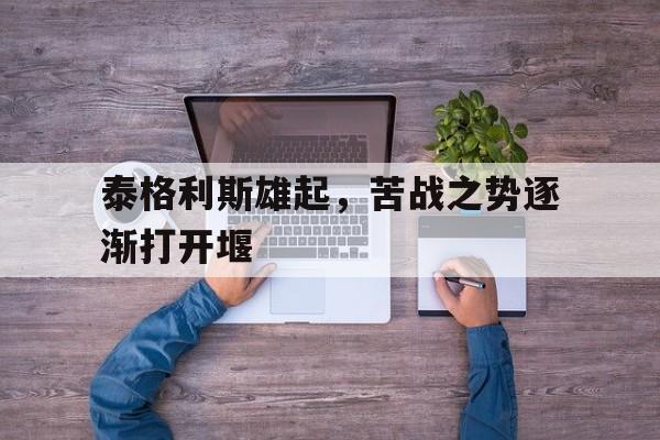 九游娱乐平台-泰格利斯雄起，苦战之势逐渐打开堰